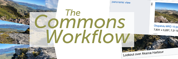 The Commons Workflow (Oct 2025) logo
